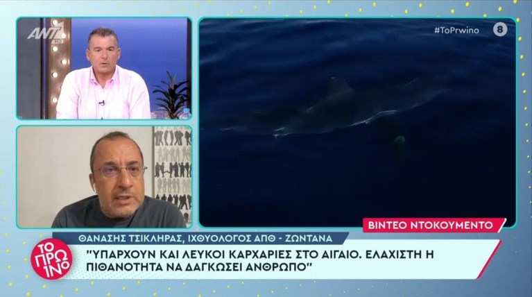ΚΑΡΧΑΡΙΑΣ ΣΕΡΙΦΟΣ
