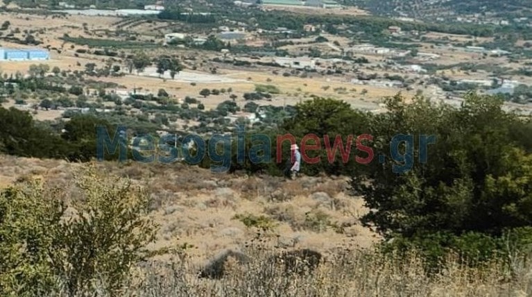 σορος