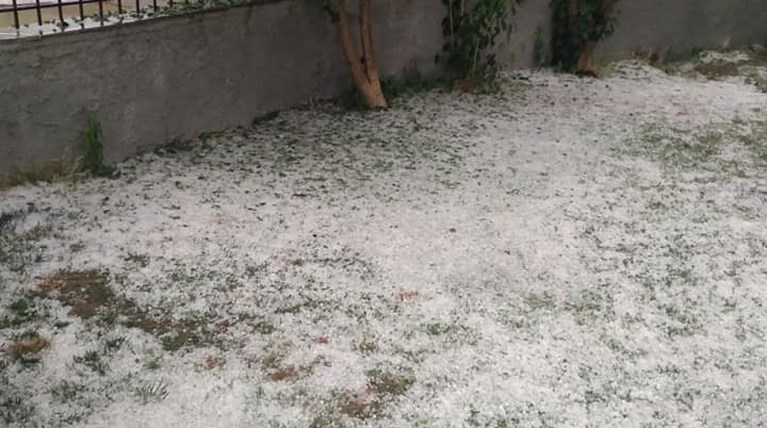 κοζανι