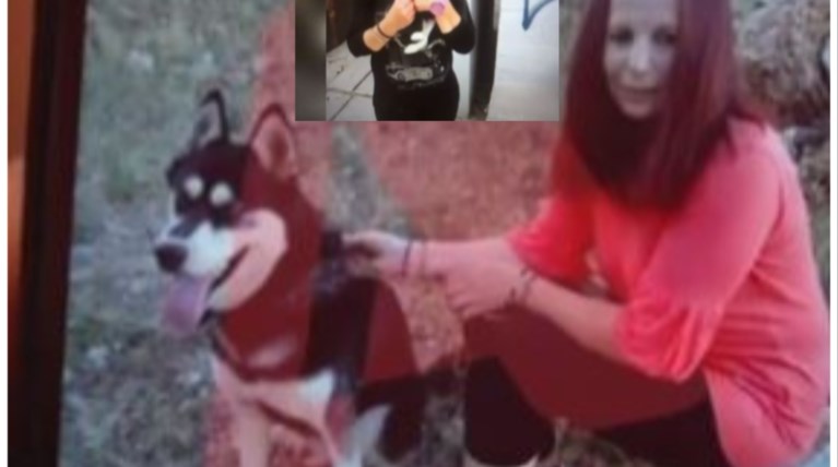 araxvba