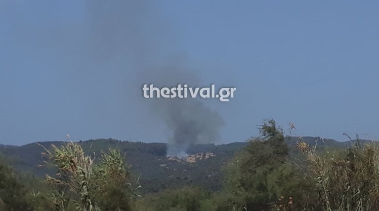 Φωτιά Χαλκιδική