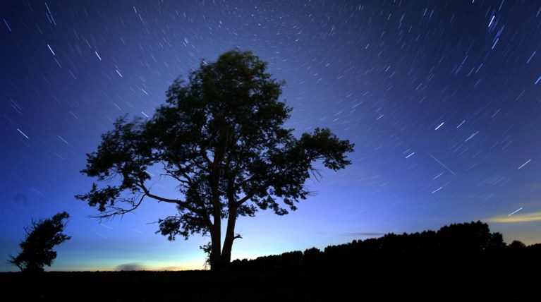 Απόψε βρέχει... αστέρια και θα τα δούμε!