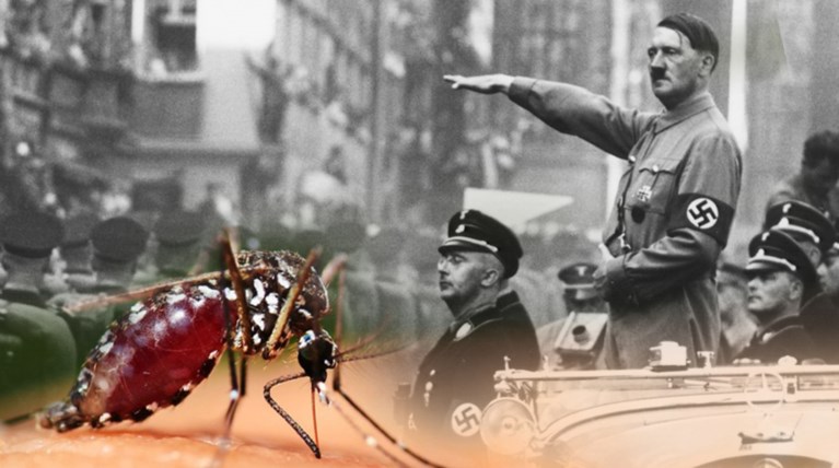 Ο Χίτλερ θα βομβάρδιζε την Ευρώπη με κουνούπια-στούκας