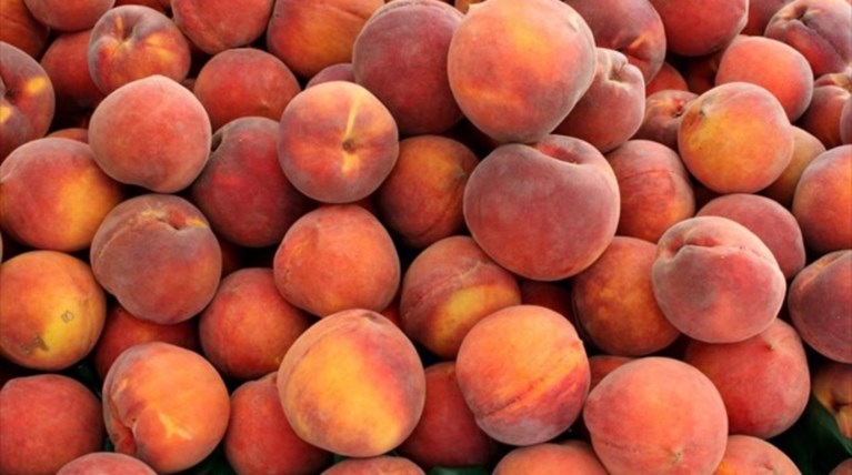 Υπουργείο Αγροτικής Ανάπτυξης: Η ΕΕ θα στηρίξει τους ροδακινοπαραγωγούς