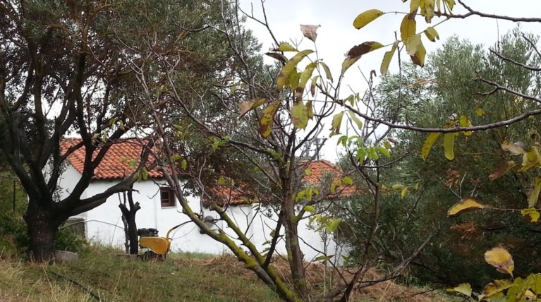 Η Μονή Πετράκη κάνει έξωση σε καρκινοπαθή, κατάκοιτη και ανήλικα παιδιά