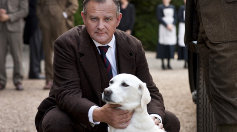 Το λαμπραντόρ του Downton Abbey "θύμα" του ISIS