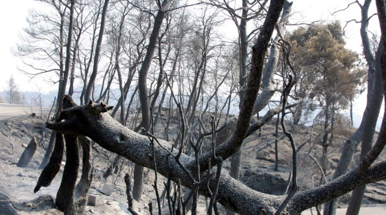 Προσφυγή σε Αρειο Πάγο ετοιμάζει ο καταδικασθείς πρώην νομάρχης Χ. Καφύρας