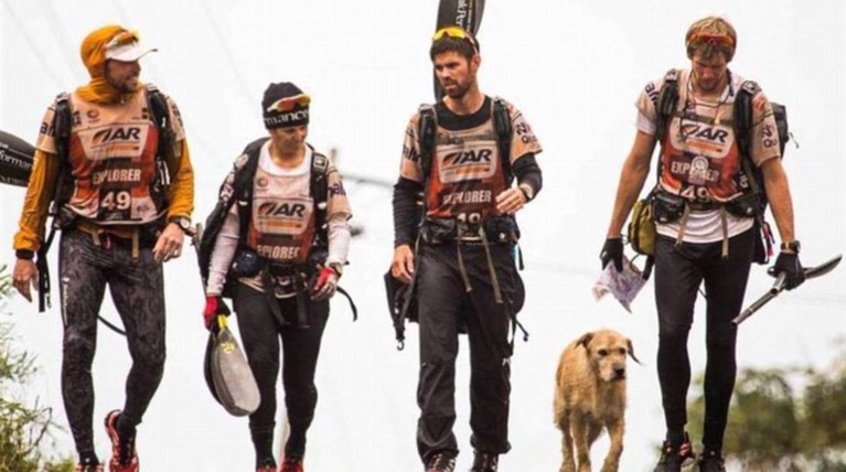 Ο αδέσποτος Αρθουρ που έκανε 690 χλμ. για ένα καλύτερο σπίτι