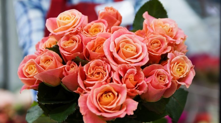 Διαμάντια, άρωμα ή γόβες; Ποιο είναι το ιδανικό δώρο για μια γυναίκα;