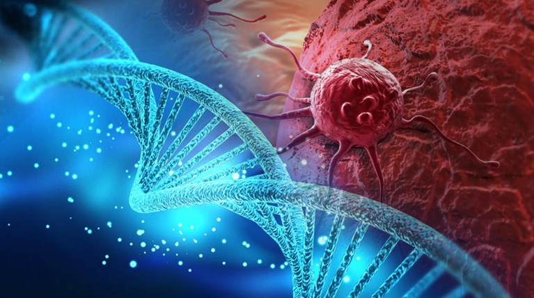 Οι περισσότερες μορφές καρκίνου αποδίδονται σε κακοτυχία