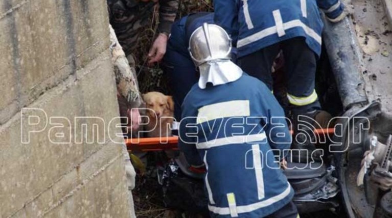 Πρέβεζα: Ο σκύλος έμεινε στο πλευρό του «αφεντικού» του μετά το τροχαίο