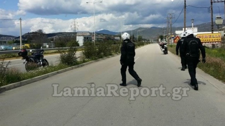 Οι αστυνομικοί της ΔΙΑΣ κυνηγούν αγελάδες στην εθνικό οδό Αθηνών-Λαμίας