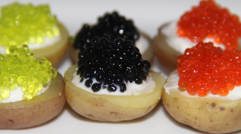 Οξύρρυγχο και χαβιάρι έφαγαν Τσίπρας-Πούτιν