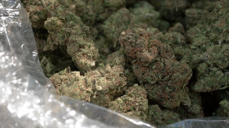 Σύζυγος γνωστής ηθοποιού σε κύκλωμα ναρκωτικών