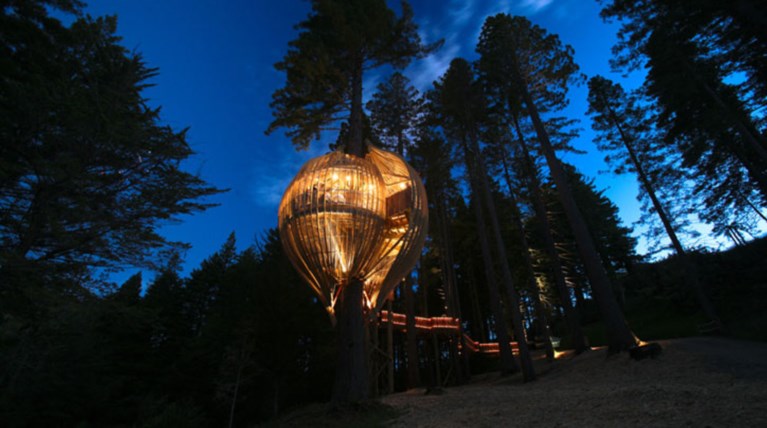 Το πολυτελές ξύλινο εστιατόριο που κρέμεται από ύψος 10 μέτρων!