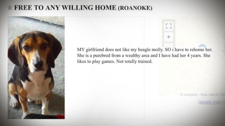 Αναζητείται σπίτι: Η πιο απίστευτη αγγελία... της ιστορίας!