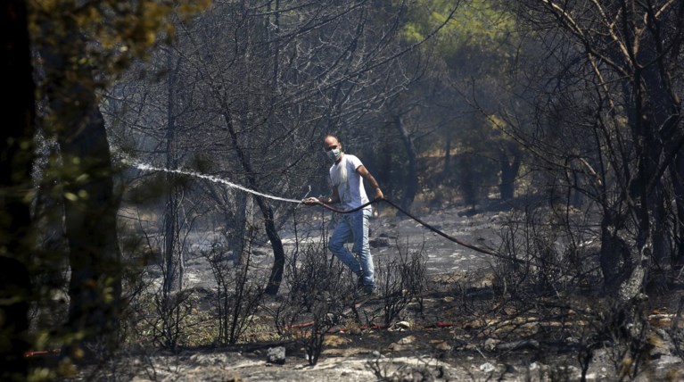 Εικόνες σοκ: Οι στάχτες του Καρέα μετά την πύρινη λαίλαπα
