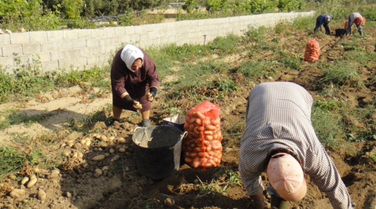 Ισως δεν είναι στο πολυνομοσχέδιο ο φόρος αγροτών