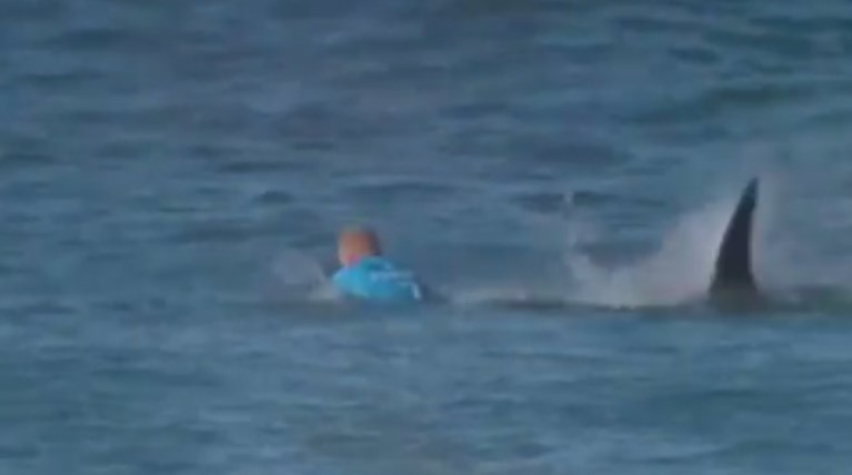 Δεύτερος  σέρφερ γρονθοκόπησε καρχαρία που του επιτέθηκε