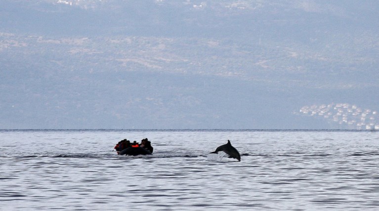 Οι πρόσφυγες και το δελφίνι