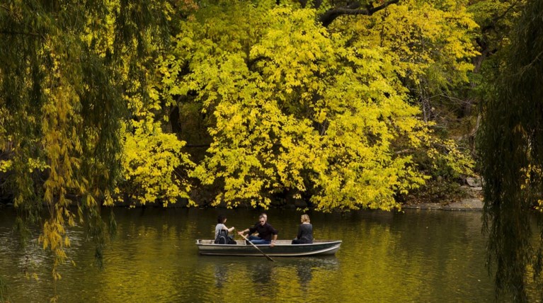 Τα χρώματα του φθινοπώρου στόλισαν το Central Park - Φωτογραφίες