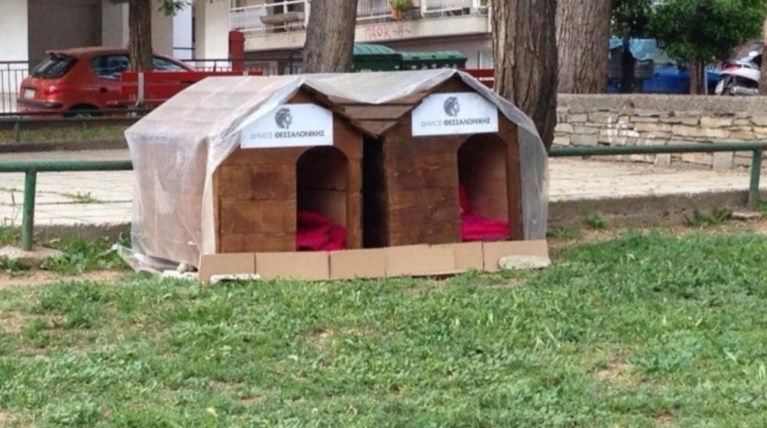Ο Δήμος Θεσσαλονίκης κάνει κάτι εκπληκτικό για τα αδέσποτα