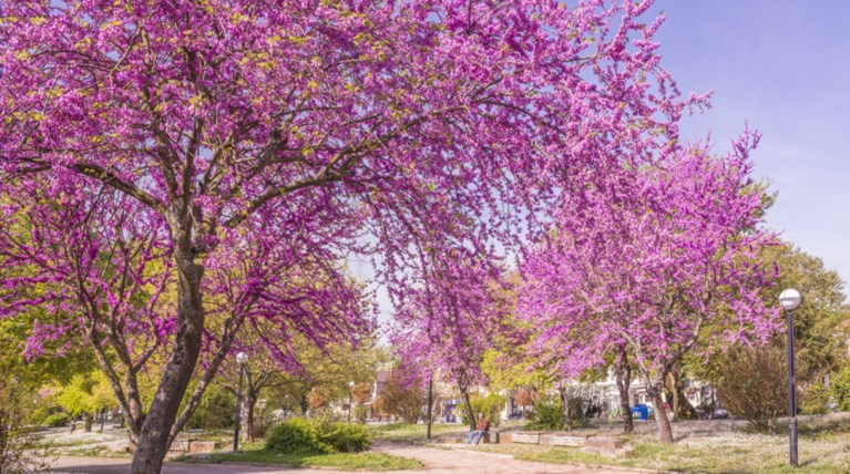25η Μαρτίου: Αυτοί είναι οι δημοφιλέστεροι ελληνικοί προορισμοί