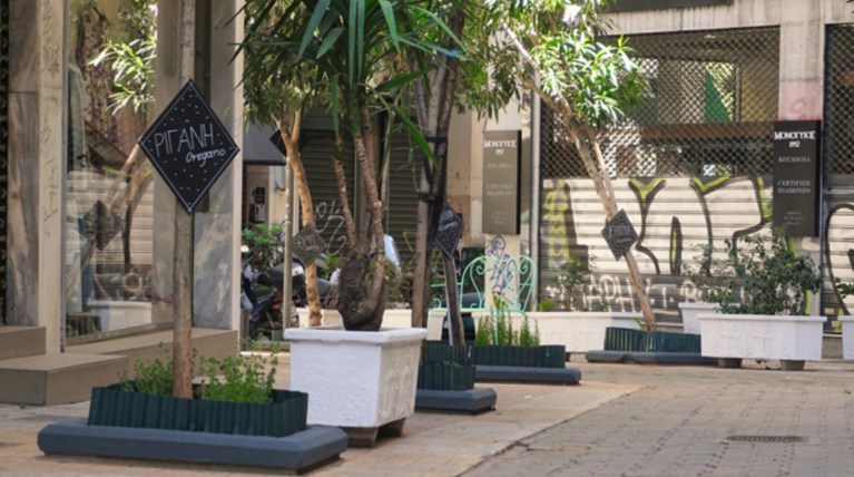 Ένας μικρός μεσογειακός κήπος στο κέντρο της Αθήνας