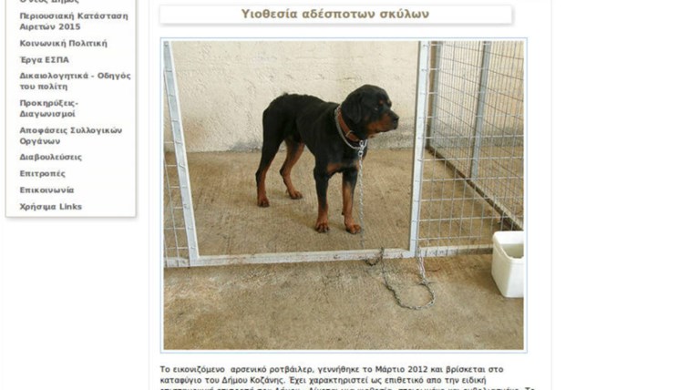 Ο Δήμος Κοζάνης δίνει για υιοθεσία τα Ροτβάιλερ