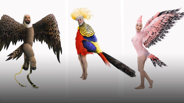 Όρνιθες στην Επίδαυρο: Όλοι μπορούμε να πετάξουμε