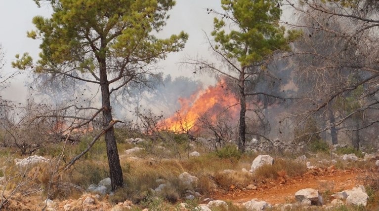 Σε ύφεση τα πύρινα μέτωπα στην Χίο - ΒΙΝΤΕΟ & ΦΩΤΟ