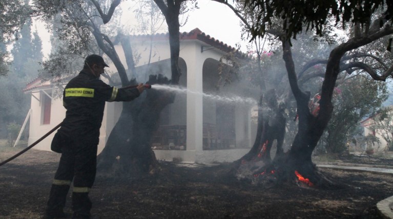 Εύβοια: Σε ύφεση η φωτιά στο μέτωπο της Λίμνης