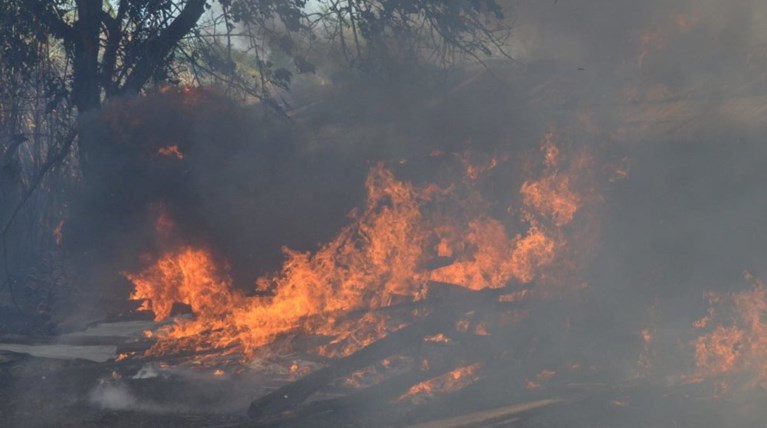 Υπό έλεγχο η φωτιά στην Προσύμνα Άργους