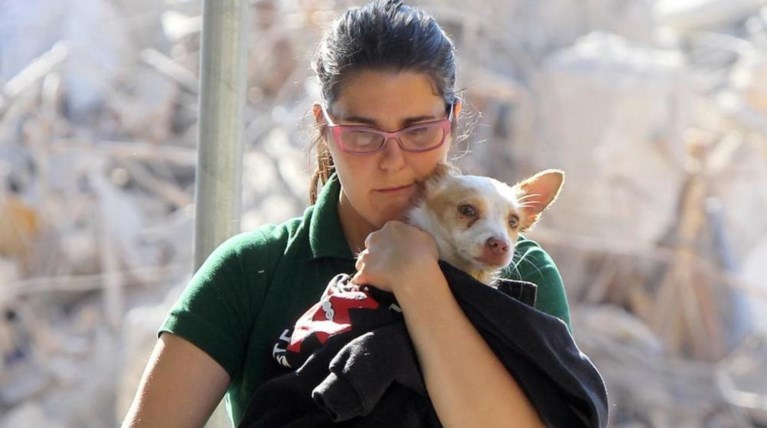 Η συγκλονιστική ιστορία της διάσωσης ενός σκύλου