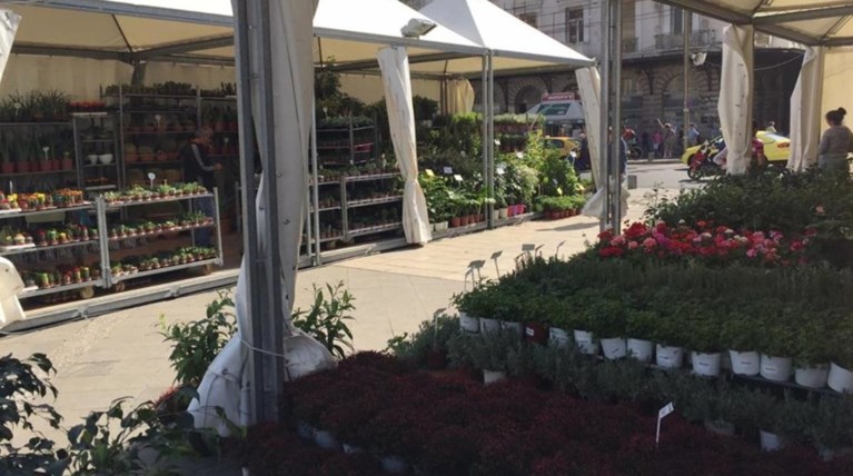 Ανθοκομική έκθεση σε μια ολάνθιστη Ομόνοια