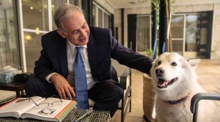 Η σκυλίτσα του Νετανιάχου δάγκωσε βουλευτές