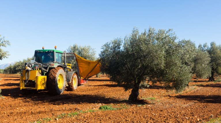 Τραγωδία στο Ρέθυμνο:Την πάτησε το αγροτικό του πατέρα της ενώ μάζευε ελιές