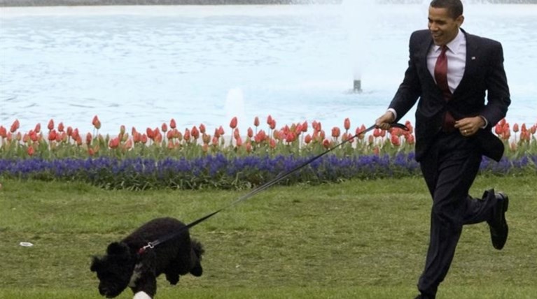 ΗΠΑ: Άνδρας σχεδίαζε να απαγάγει τον σκύλο του Ομπάμα
