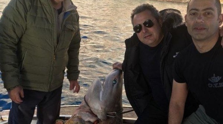 Οργή WWF κατά Καμμένου για τη φωτό με τον καρχαρία