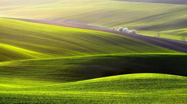 Τα λιβάδια της Ευρώπης μας βάζουν σε ανοιξιάτικους ρυθμούς