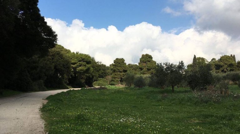 Αλσος Συγγρού: Μια όαση σε απόσταση αναπνοής από το κέντρο της Αθήνας