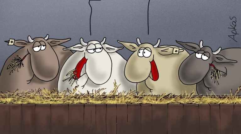 Το νέο σκίτσο του Αρκά περί... σανού και ηλίθιων!