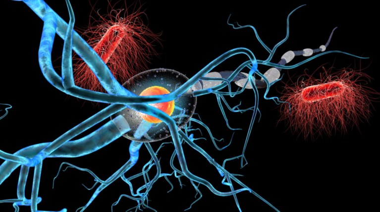Επιστήμονες ανακάλυψαν την «αχίλλειο πτέρνα» του καρκίνου