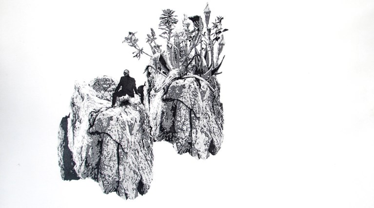 Οι ολάνθιστοι "κάτοικοι της πόλης" σε μια έκθεση