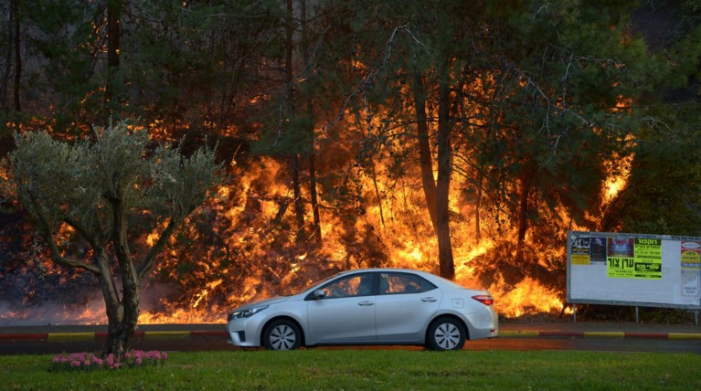 Ανελέητες οι φλόγες κατακαίνε ολόκληρες συνοικίες στη Χάιφα  - φωτό -