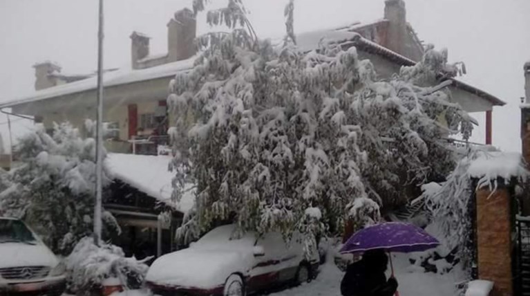 Στα λευκά η χώρα, ισχυροί άνεμοι και πολικό ψύχος [ΕΙΚΟΝΕΣ]