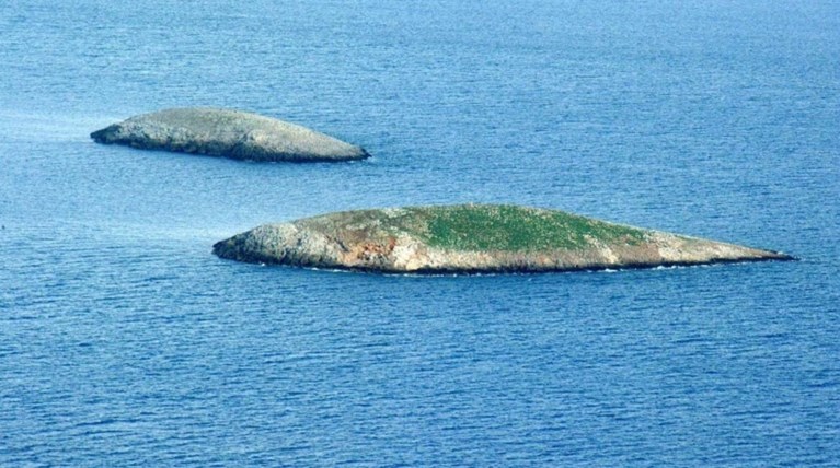 Ενταση στα Ίμια και θερμό επεισόδιο «βλέπουν» τουρκικά ΜΜΕ