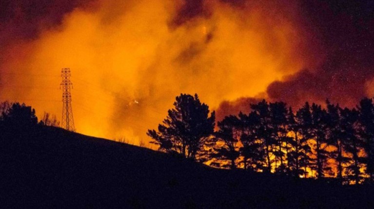 Κόλαση φωτιάς στη Νέα Ζηλανδία, εκκενώθηκαν οικισμοί