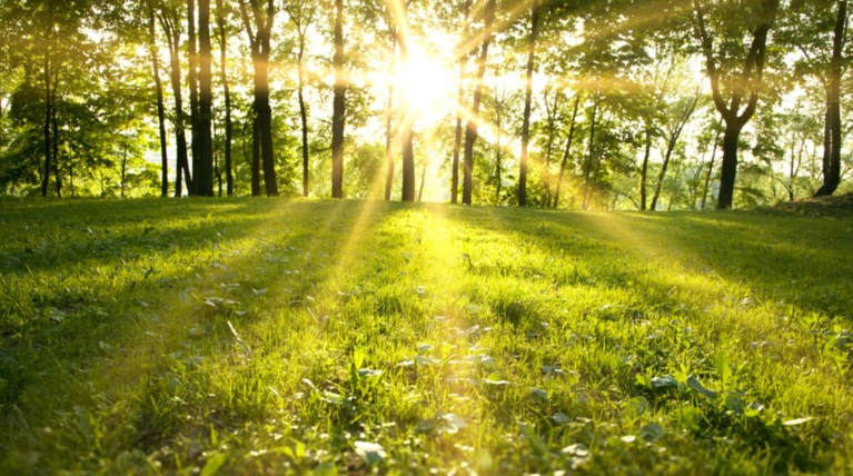 Ανοιξιάτικος ο καιρός με άνοδο της θερμοκρασίας