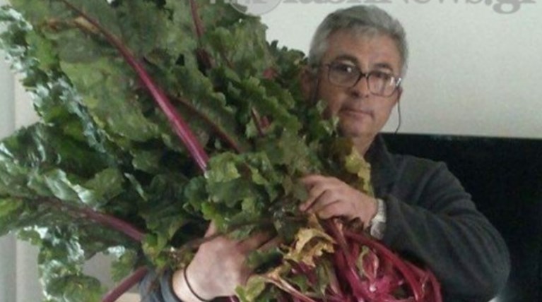 Παντζάρι- γίγας φύτρωσε σε χωράφι στην Κρήτη!   φωτό